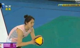 小红小绿真实爆料视频大全,视频大全背后的惊人真相